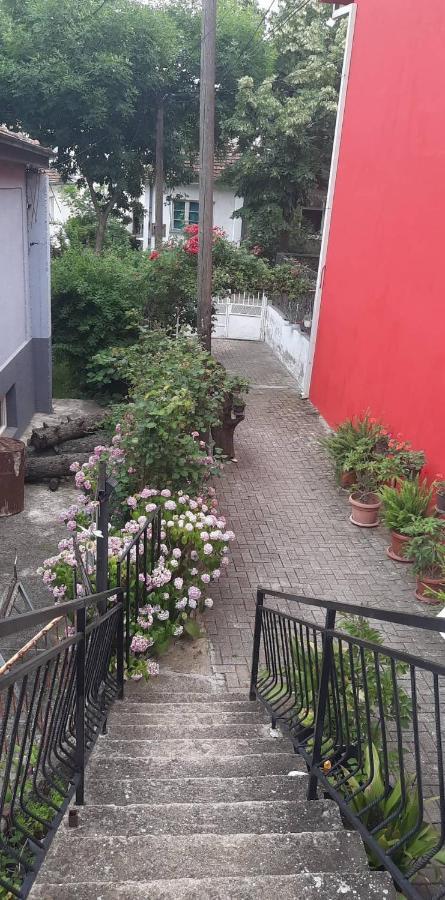 Stan Za Iznajmuvanje So Parking,Blisku Do Centar. Kumanovo Ngoại thất bức ảnh